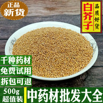 New Cargo White Mustard Chinese Herbal Medicine Shop 500 gr Raw White Mustard Tea Can Mill White Mustard Seed Pink Seed Selection