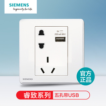 Siemens switch socket panel Ruizi titanium silver USB five 5 hole 10a power wall 86 type two or three eyes household