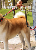 Dog Rope Walking Dog Chain Training Explosion-proof P Chain P Rope Kekien Mao Labrador Medium Large Dog Traction Rope