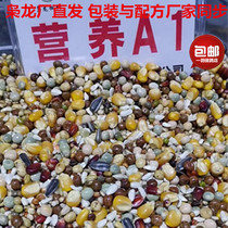 Xiaolong ge liang nutrition A1 no wheat corn feed sai xin ornamental pigeons grain poo and EE seed bird Hot 50 pounds