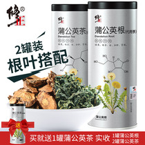 Correction Dandelion tea non-wild dandelion Genpo Gongying tea mother-in-law Dingpu Gongying non-special grade