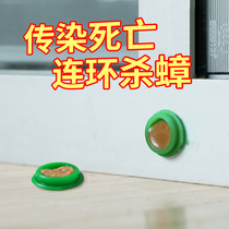 In addition to killing cockroaches a nest of cockroaches cockroaches cockroaches kitchen bysters Universal full nest killing no cockroaches