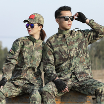 CS Python camouflage wear-resistant scratch-resistant breathable suit men and women Spring and Autumn sand-colored work clothes