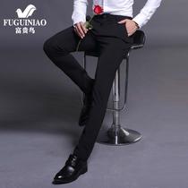 Rich bird Tiansi pants mens spring and autumn straight loose stretch trousers business mens casual pants summer thin