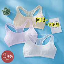 Net red girl development underwear 10-12-16 year old junior high school girl child vest lace lace student wipe