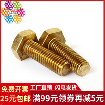 (M10) Copper Hexagon screws copper Hexagon screws copper hexagon bolts copper bolts