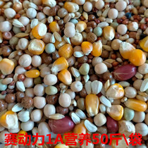 Race Dynamics Dove Grain 1A Nutrition A1 with corn Syracuse pigeon Grain Meat Pigeon Feed Racing Fly Universal Bird Food 50 catty