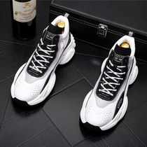 Tide cards 2020 new winter plus suede 100 hitch height and light mens shoes Korean version trendy sports casual old daddy shoes