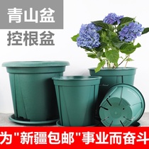 Xinjiang Qingshan control root control root control root pot plastic pot flower tray ventilation thickened Western Regions Thirty-six countries