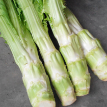 Thin-skinned stick seed white mustard seed vegetable brain shell Sichuan flower leaf vegetable head Sichuan Chuanyu autumn sown vegetable rapeseed seed