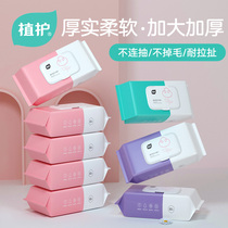Plant protection wet tissue paper infants newborn babies childrens hands fart special 80 pumping family affordable large packaging whole box