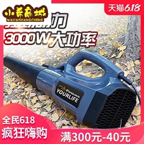 Blower electric dust blowing hair dryer blowing road leaf machine dust collector 3000W high-power industrial power