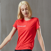 Pathfinder T-shirt 21 spring summer outdoor men and women breathable running short sleeve T-shirt KAJH82240 KAJH81239