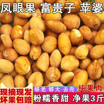 Eichhornia fruit Pingpo Fuguizi nine-layer skin fresh fresh pick 3kg of pure flesh old body big fruit Strange Fruit