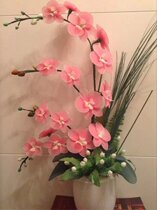 Phalaenopsis Set Mesh Flower Stockings Flower Packages Flower Stockings Handmade Phalaenopsis Bags