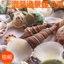 Mixed small mesh bag natural conch shell fish tank turtle tank landscape decoration