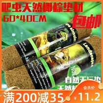Reptile supplies Coconut palm mat Reptile medicine Tortoise leopard tortoise Star tortoise lizard dust-free reptile box Landscaping moisturizing transparent