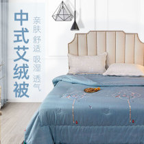 Eivet Mattress Ai Suede Quilt Summer Cool Quilted By Air Conditioning Quilt Core by Spring and Autumn Quilt Core by Four Seasons