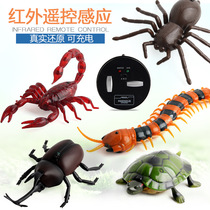 Douyin with wireless remote control simulation scorpion centipede turtle spider electric animal model childrens student toy