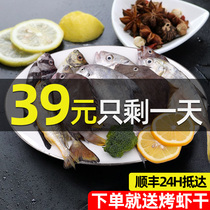 Zhoushan seafood small coffee combination Ningbo deep sea fish shrimp fresh sea catch fresh sea live frozen aquatic fish package