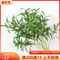 Wedding olive leaf simulation olive branch plant wall decoration wedding arrangement hotel soft flower arrangement with grass green leaves