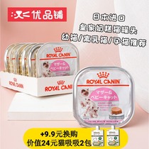 Japan imported royal milk cake cat canned kitten pregnant female cat postpartum cat staple food wet food canned