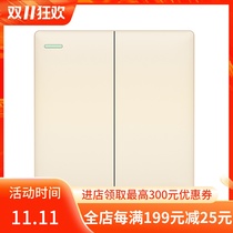 Visual shell switch socket 86 type gold borderless household power supply two open dual control TV computer five-hole large panel