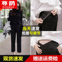 Pregnant women wide leg pants net red Western style pants leggings Autumn autumn and winter tide mom wear fashion spring and autumn trousers autumn
