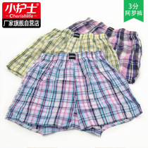 Small nurse panties womens flat pants pure cotton Aro pants loose plaid home short pajamas large size four-legged pants slits