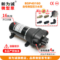 12V water pump 24V electric diaphragm pump New for the Cheng BSP40160 DC RV micro pump factory direct sales