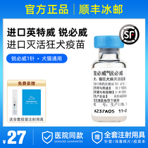 Imported Inttwitch Dog Rabies Vaccine Cat and Dog Rabies Pet with Rabies Vaccine 1 needle