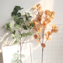 INS Apple leaf simulation flower Eucalyptus money leaf Ginkgo biloba Yunya plant fake flower Nordic style photo props
