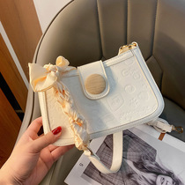 Shanghai Spot Warehouse Guest for Withdrawal Cabinet Qingpu District Ottles Discount Officer Net Armband Bags Casual Diagonal Satchel Bag