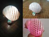  Full 9 9 yuan to enjoy natural shell special crafts conch LED lighting decoration shell small table lamp