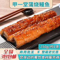 Chia-to-be-cooked eel about 250g-day-style grilled eel Japanese sushi cuisine eel rice microwave heated ready-to-eat