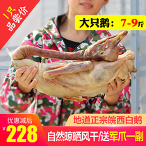 Positive Zong West White Goose Six Antic Production Farmhouse Cured Food Grass Goose Air-dried Salted Goose Anhui Preserved Goose Whole 7 9 Catties