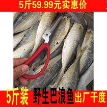 Fujian specialty 5kg of Balang fish salted Balang fish semi-dry wet Fujian fish salted fish Barang wild cooked pond fish