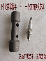 Applicable SYM Xia Xing Sanyang XS150T-2A Fire Phoenix FNX Titan S Fit 4 NGK Spark Plug