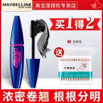  Maybelline Flying arrow mascara Blue fat long thick curly long-lasting waterproof and not easy to smudge Official