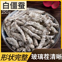 Finding Baicao Silkworm Traditional Chinese Medicine White Bombyx Silkworm Chinese Medicinal Materials Fried White Silkworm Powder Ginger Silkworm 250g Non-Tongrentang 500g