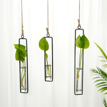 ins Creative Glass hydroponic wall Wall test tube decoration vase wall decoration background wall porch decorative plants