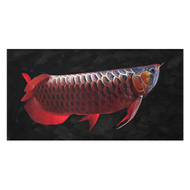 Todays special price Su Zhangfeng Longfish series Realistic Boutique Hand-painted Oil Painting