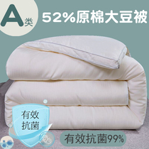 Outlet Thickened Soybean Fiber Winter Quilt Winters Warm 10 Grams of Corn Fiber Quilt Core Speed Warm Ultra Soft And Thick Quilt