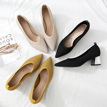 Thick heel shoes womens 2020 spring and autumn new net red wild fashion pointed middle heel light nude knitted heels