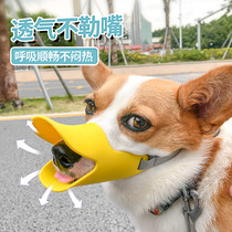 Small dog Kirki puppy cage dog taddy dog mouth cover silver fox silicone puppy