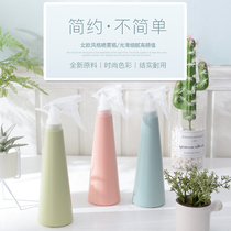 360ML meat - pot - fried bottle Balcony green plant micro - landscape green plant with hand - pressed conical bottle