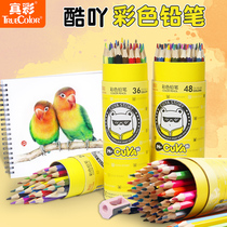 True color color pencil Oily color lead students with professional color pen hand drawing pen 24 colors 36 colors 48 colors Beginner drawing set Children primary school art training pencil stationery wholesale