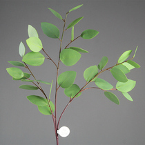 Modern minimalist Nordic high simulation feel eucalyptus leaf decoration flower dry flower arrangement floral decoration