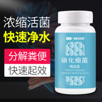 Nitrified bacteria Fish tank Nitrified live bacteria dry powder Aquarium water purification Digestive bacteria concentrated nitrified bacteria capsules