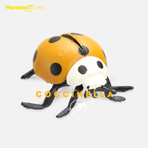 Wantmoin play model simulation insect model toy seven star ladybug Beetle Beetle flower big sister cognition